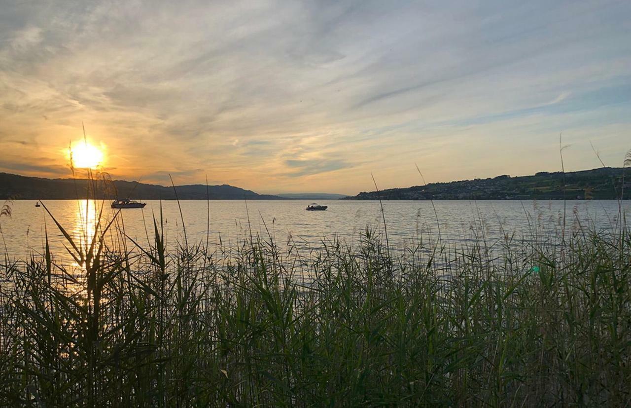 No1 Art B&B Au (Zurich) Dış mekan fotoğraf